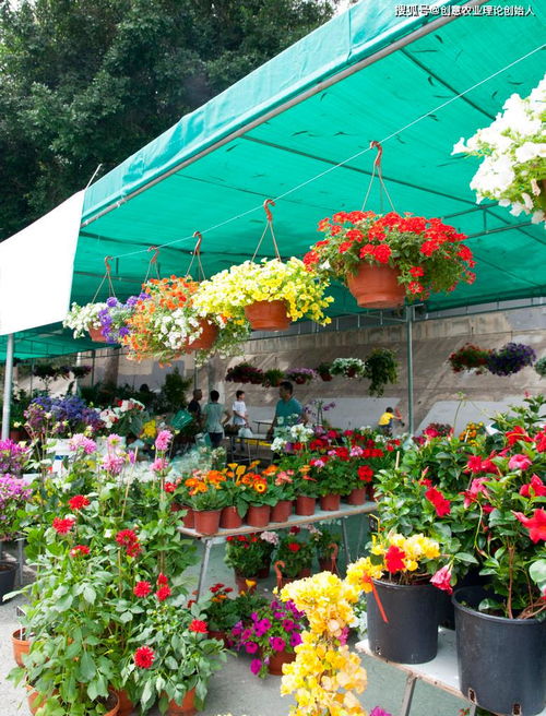 鮮花經濟開出新花樣 機械設備賦能產業鏈升級