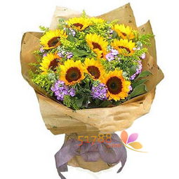 x618 時(shí)尚鮮花網(wǎng)花卉品種的全面解析