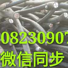 循環經濟的基石 再生資源回收的意義、挑戰與發展路徑